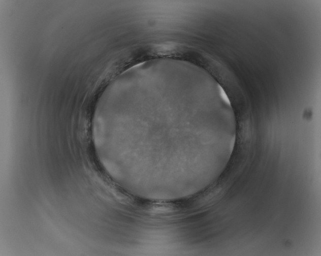 X0000113180653200910161333