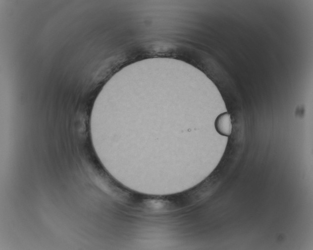 X0000113180654200910161333