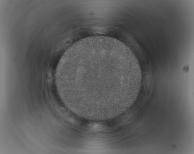 X0000113180655200910161333
