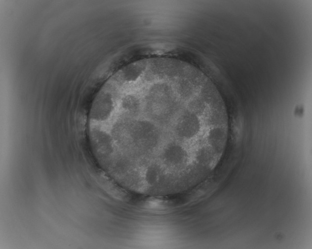X0000113180657200910161333