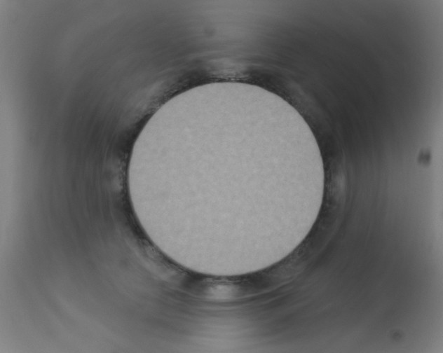 X0000113180658200910161333