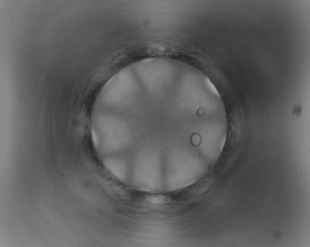 X0000113180659200910161333