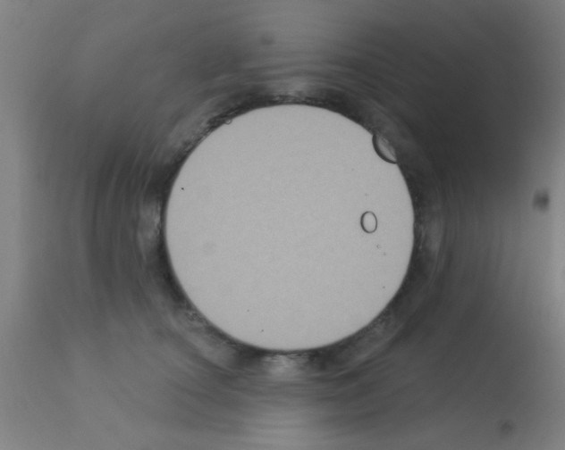 X0000113180660200910161333