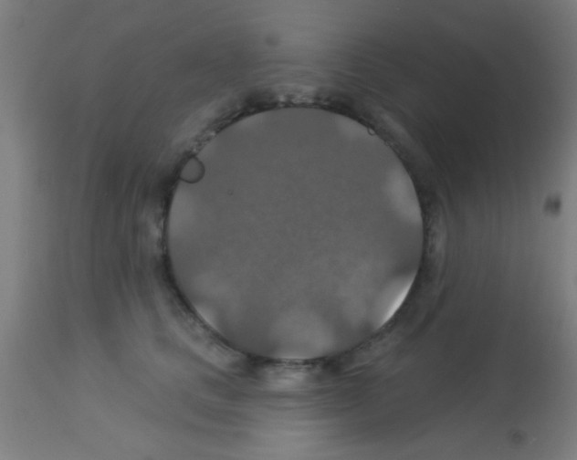 X0000113180661200910161333
