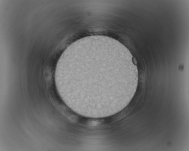 X0000113180662200910161333