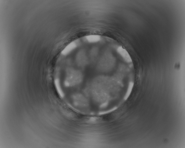 X0000113180663200910161333