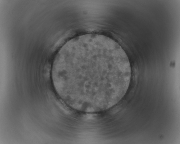 X0000113180664200910161333