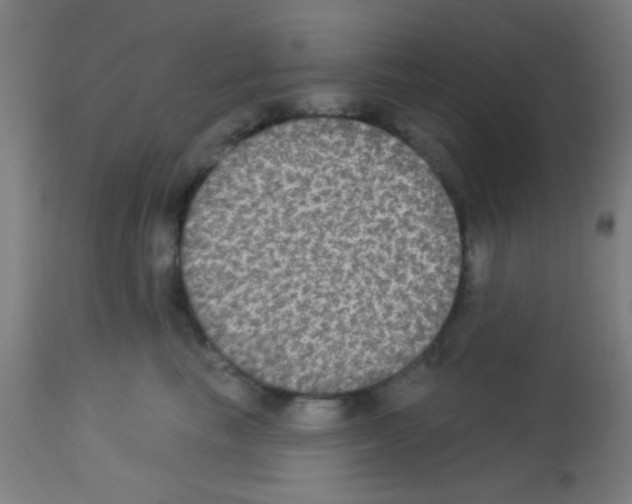X0000113180665200910161333