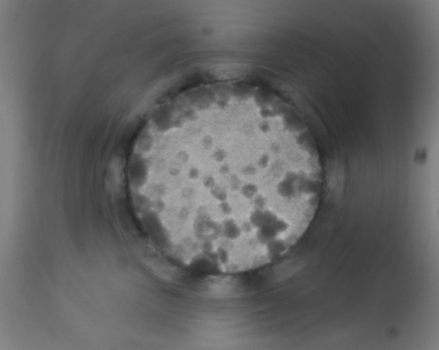 X0000113180667200910161333
