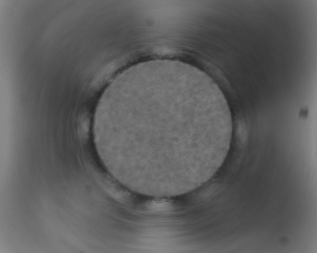 X0000113180668200910161333