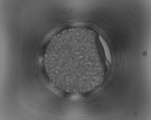 X0000113180669200910161333