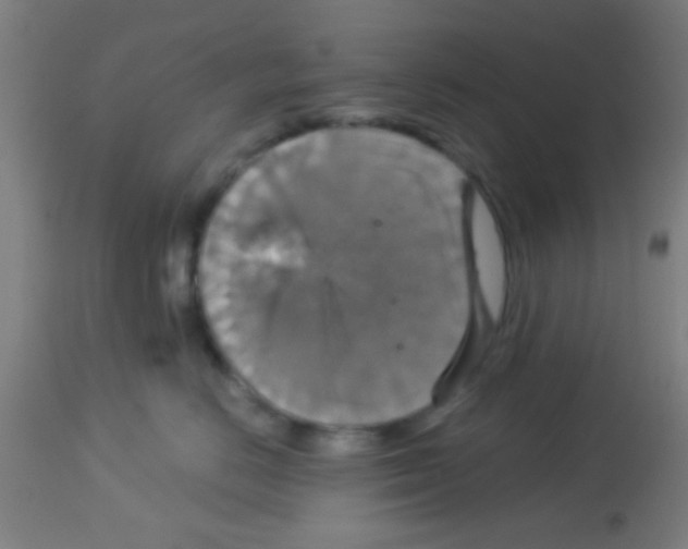 X0000113180670200910161333