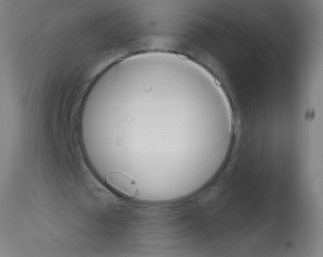 X0000113180673200910161332