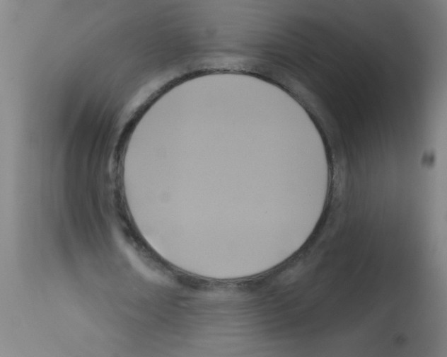 X0000113180674200910161332