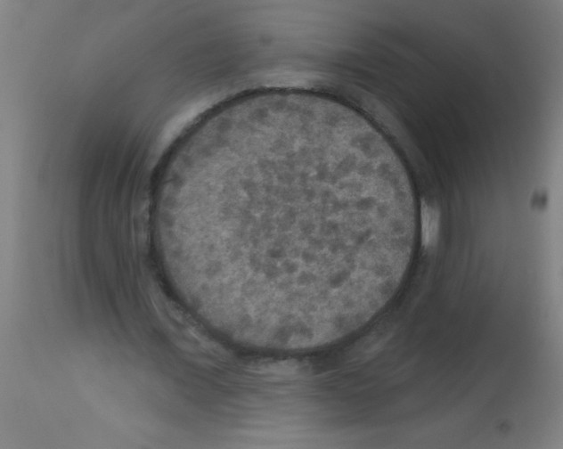 X0000113180675200910161332