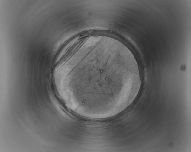 X0000113180677200910161332