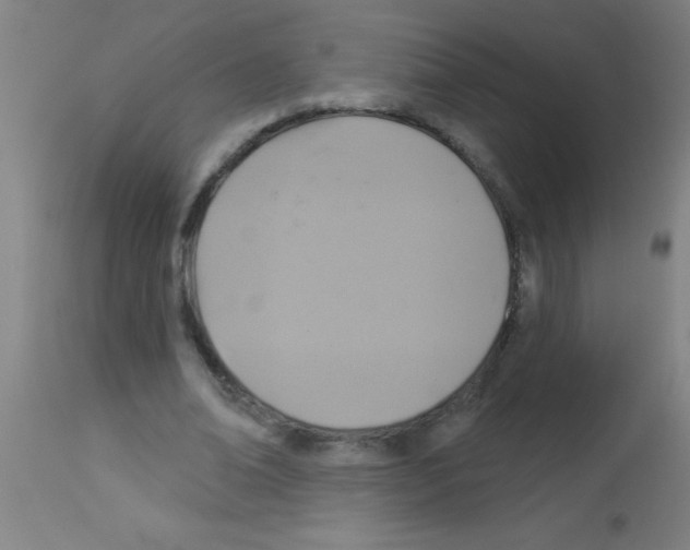 X0000113180678200910161332