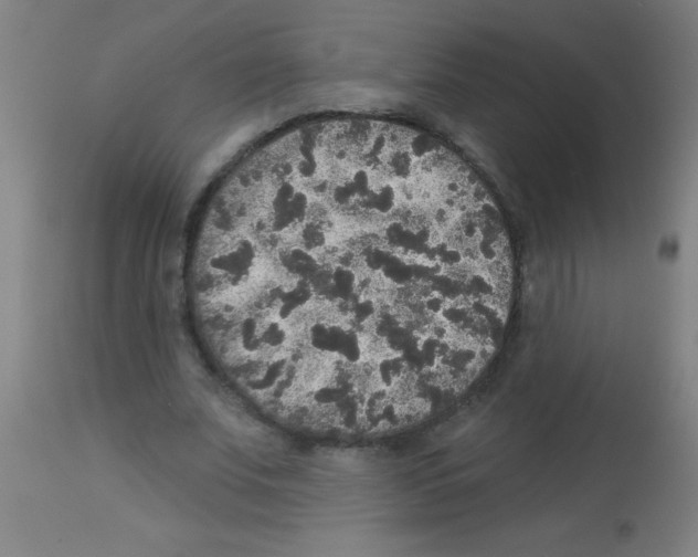 X0000113180679200910161332