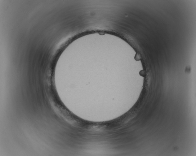 X0000113180680200910161332