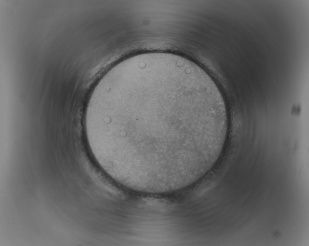 X0000113180681200910161332
