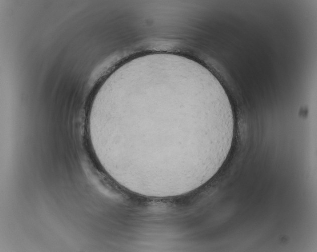 X0000113180682200910161332
