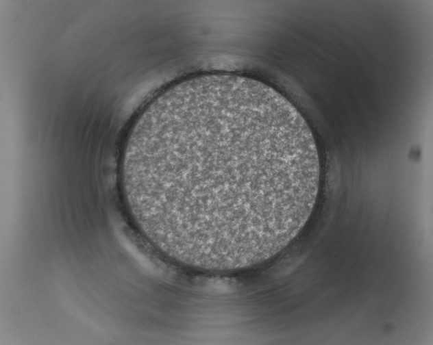 X0000113180683200910161332