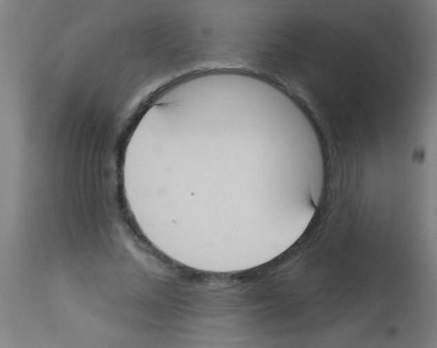 X0000113180684200910161332