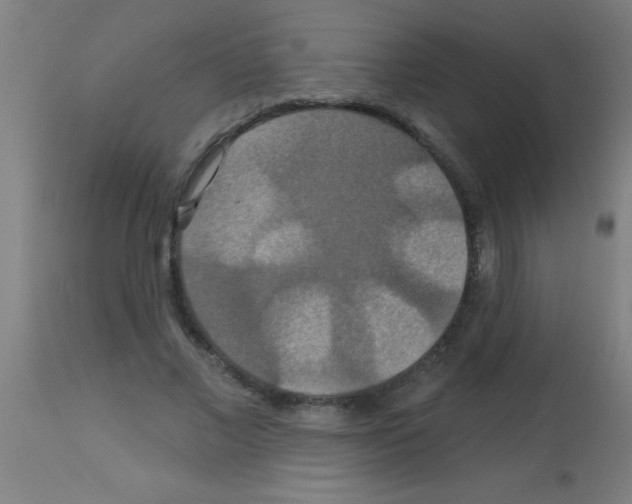 X0000113180685200910161332