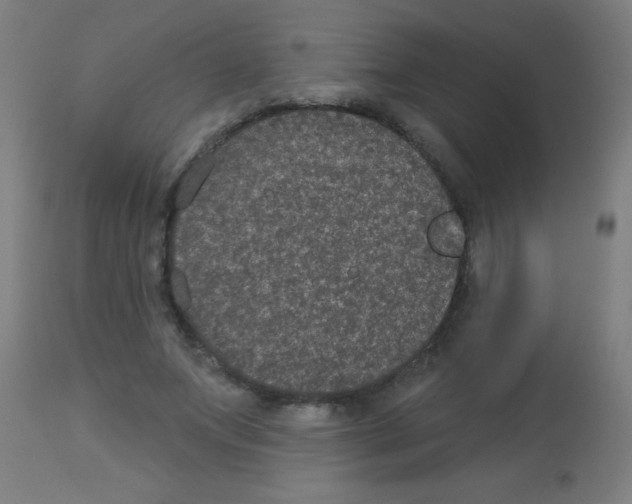 X0000113180687200910161332