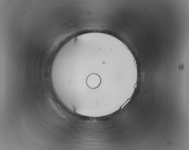 X0000113180688200910161332