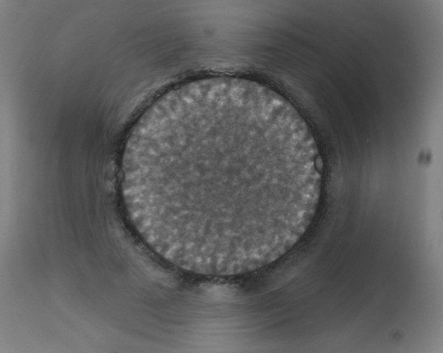 X0000113180689200910161332