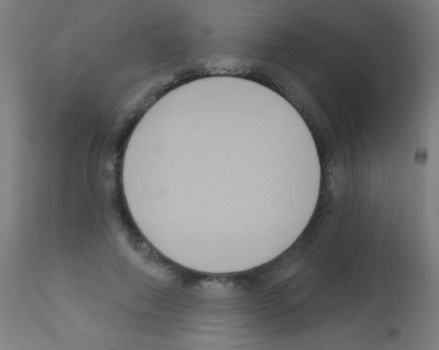 X0000113180690200910161332