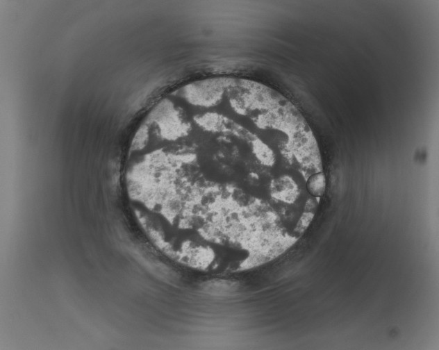 X0000113180691200910161332
