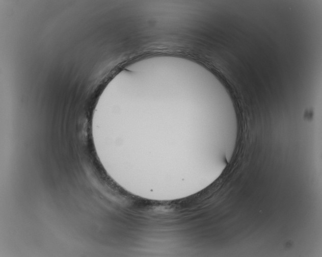 X0000113180692200910161332