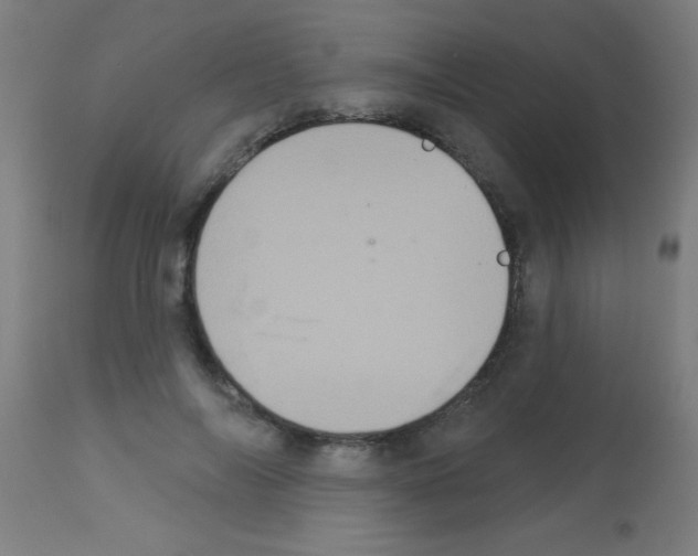 X0000113180694200910161332