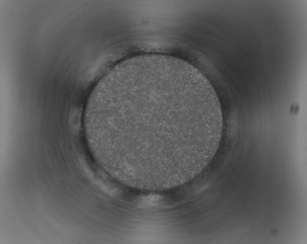 X0000113180695200910161332
