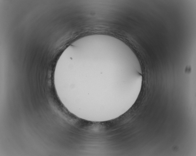 X0000113180696200910161332