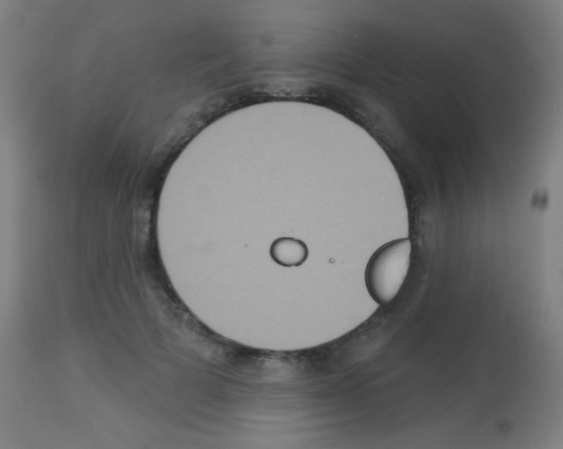 X0000113180697200910161332