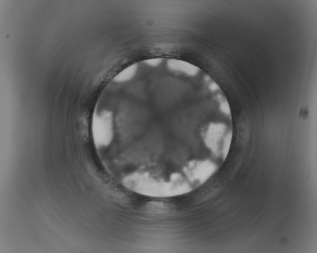 X0000113180699200910161332
