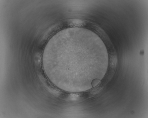 X0000113180701200910161332