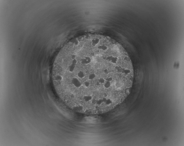 X0000113180703200910161332