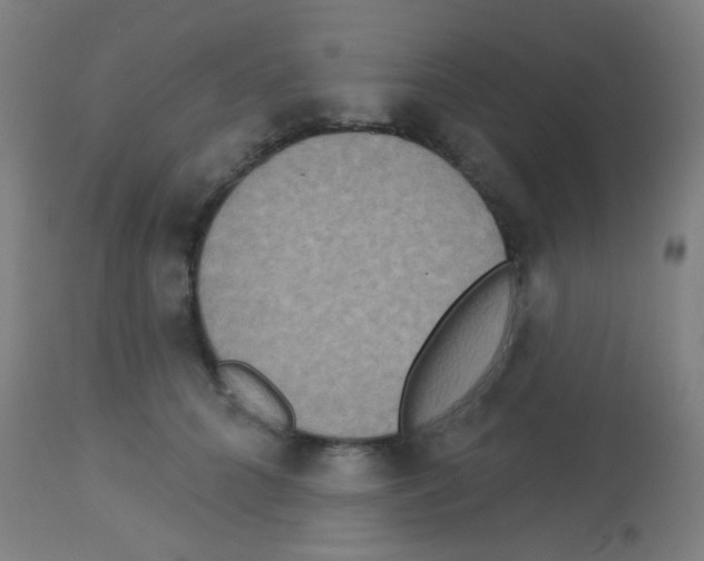 X0000113180704200910161332
