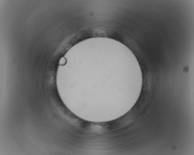 X0000113180706200910161332