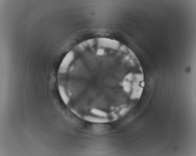 X0000113180707200910161332