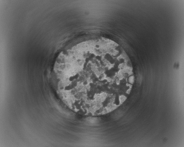X0000113180711200910161332
