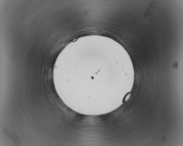 X0000113180713200910161332