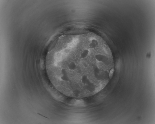 X0000113180715200910161332
