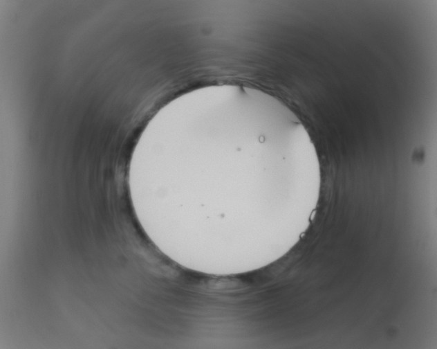 X0000113180716200910161332