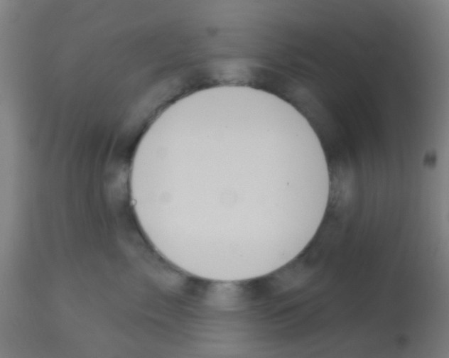 X0000113180717200910161332