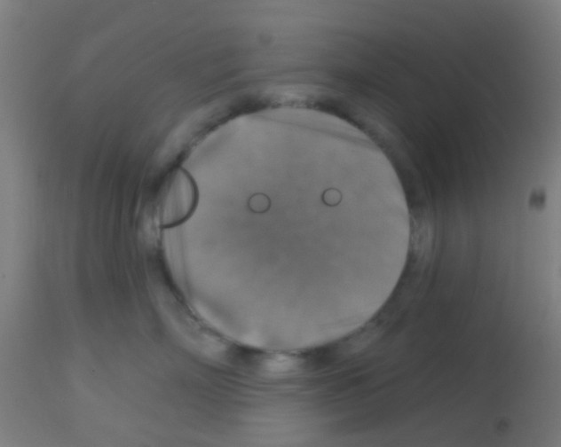 X0000113180718200910161332